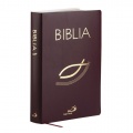 Pismo Święte /Biblia z kolorową wkładką 