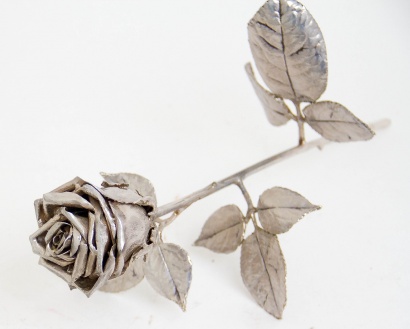 Róża srebrna  / AC