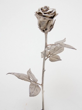Róża srebrna  / AC