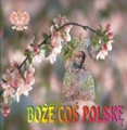 Płyta CD - Boże Coś Polskę
