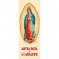 Baner - Matka Boża z Guadalupe nr 202 / Al