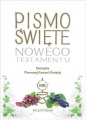 Pismo Święte Nowego Testamentu z ilustracjami